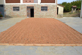 Sacco Prodotti
