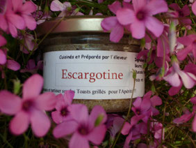 escargotine de cyril