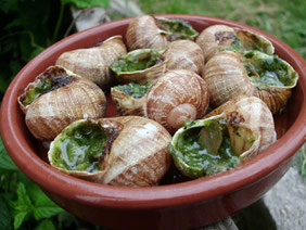 Coquilles à la farce Bourguignonne de cyril