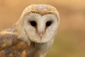 Foto: Winfried Rusch 