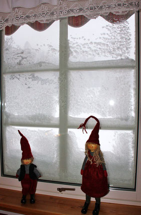 "Blick" aus unserem Küchenfenster