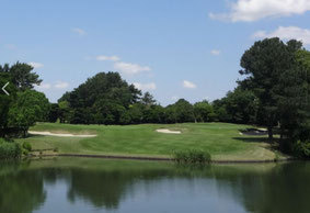 名古屋ゴルフ倶楽部和合コース (名物ホール) 17番 PAR3