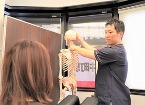 腰痛専門整体の骨格の説明