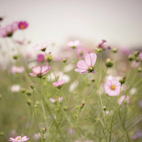 Ablauf und Kosten Traumatherapie Muenchen