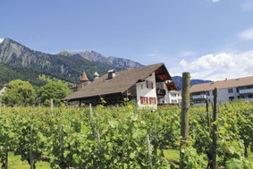 Weingut Wullschleger Weine in Maienfeld Graubünden