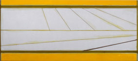 Zonder titel (Akker/ploegvoren ll) 105x240cm acryl op doek 2006 (Collectie Galerie De Rog Grave)