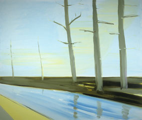 Spiegeling in stromend water 85x100cm olie op canvas 1998 (Collectie Uitleencentrum Beeldende Kunst Utrecht Nederland). Basisstipendium, Fonds voor Beeldende Kunsten Vormgeving en Bouwkunst Amsterdam 1999