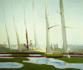 Landschap met waterplassen 110x130cm olie op canvas 1998 (Collectie Kunstuitleen Museum Het Kruithuis Den Bosch Nederland). Basisstipendium, Fonds voor Beeldende Kunsten Vormgeving en Bouwkunst Amsterdam 1999