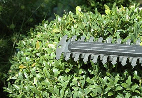 Service d'entretien de jardin, taille de haie et arbuste à Aix les Bains, en Savoie