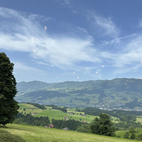 joel von moos lumeum niklaus dorothee dorothea