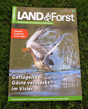 Land & Forst