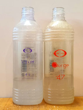 ベルジュバンス デトックス