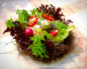 Farmersalat 'im Nest', www.basenfasten-hamburg.net