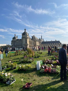 Copyright Marie Audierne Oise Tourisme