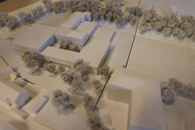 Architekten ZT GmbH / Steiner