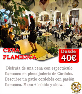 cena con espectáculo flamenco