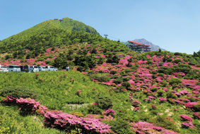 ©長崎県観光連盟