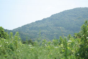 石巻山の麓です