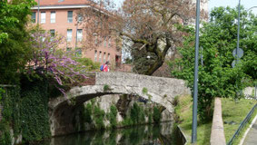 OmoGirando Gorla - il Ponte sulla Martesana