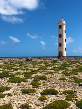 Bonaire (01.01.2019)