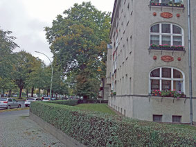 Zeitung Prenzlauer Berg Magazin