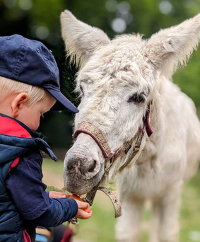 (Quelle: Verena Neuse/Tierwaldhof)