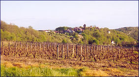 Saint Romain le Haut, vu des vignes