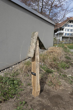 Einer der beiden "Langer Hans", gut verankert im Boden. Foto Françoise Alsaker