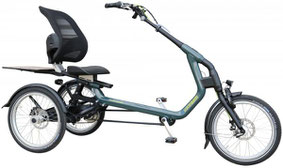 Dreirad Van Raam Easy Go Scooter