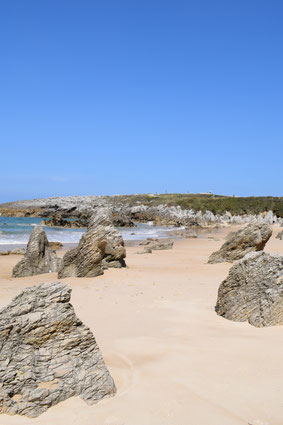 Playa de Toro