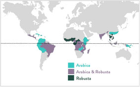 Coffee cultivation by coffee addicted