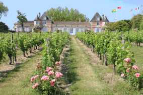 SAINT-YZANS-DU-MEDOC