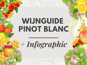 Wijnguide Pinot Blanc