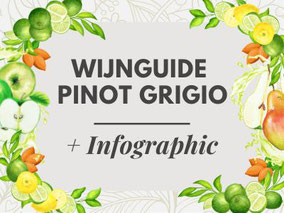Pinot Grigio Wijn Guide