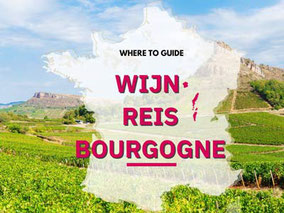 Meer wijnreizen: Bourgogne streek