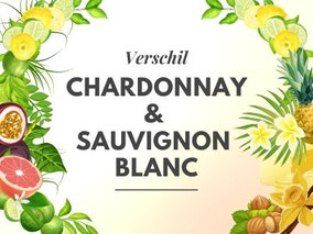 Verschil Chardonnay en Sauvignon Blanc