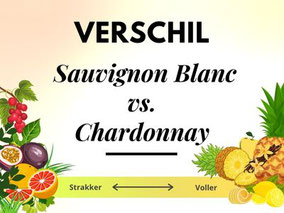 Verschil Chardonnay en Sauvignon Blanc