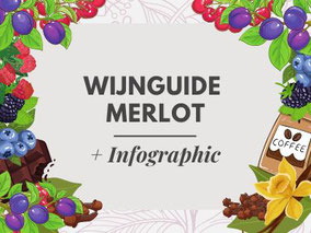 Wijn Guide Merlot