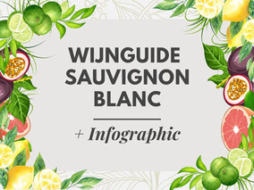 Sauvignon Blanc Wijn Guide