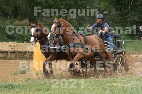 SAURY Jean Marie - paire chevaux