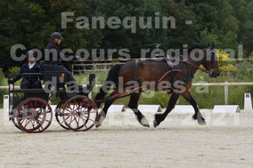 CARME Nicolas - solo cheval