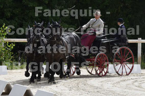 BEZIAT Alain - Team chevaux MERENS