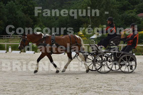 DERVIEUX Christine - solo cheval