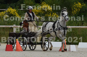 BRASSE Catherine - solo cheval