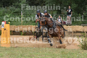 GUY HERBOMEZ Brune - solo cheval