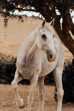 Foto von Clara Zeyffert