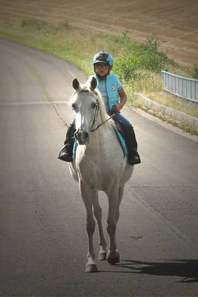 D.M. Wamira, 1991 grey mare by Habibate Wamerad & Nephrim