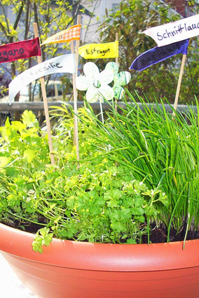 Anderes Zeug - oiropapokals Webseite!