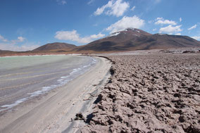 Salar de Talar Atacama