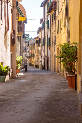 Laterina: la vie del Borgo